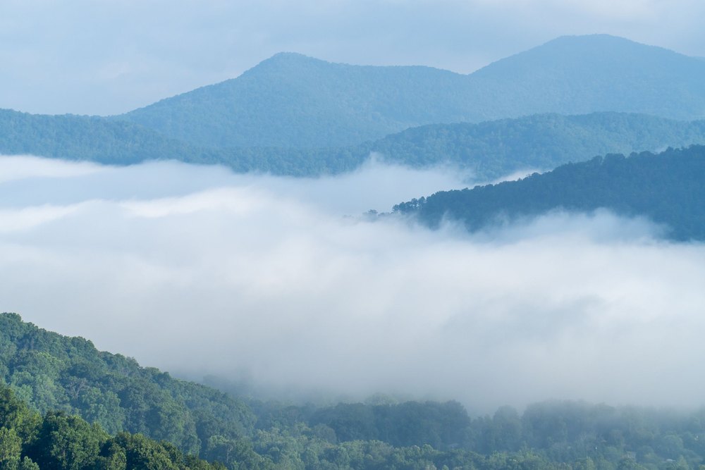 Layered blue mountain ridges above a bank of low cloud filling a forested valley