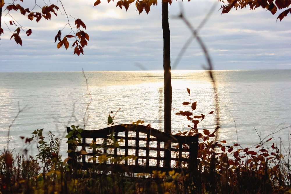 A wooden bench facing out over Sturgeon Bay in fall, framed by bare branches and red leaves